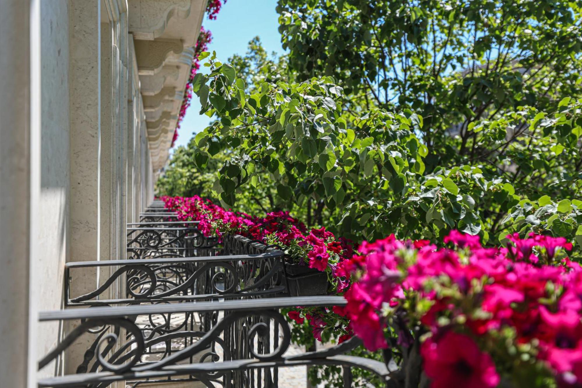 Hotel Plaza Berat Extérieur photo